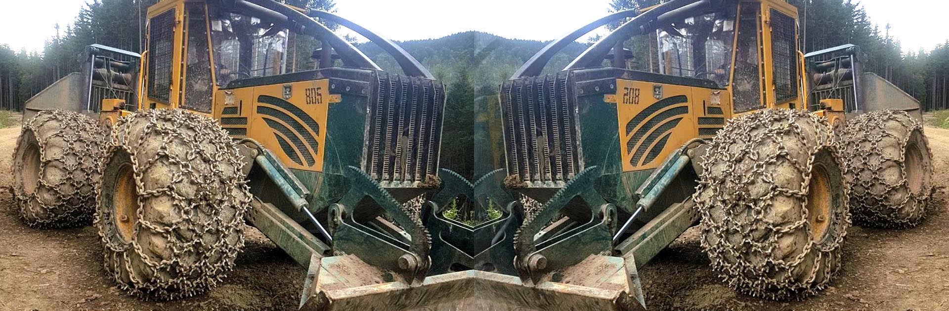 ORMAN PATİNAJ ZİNCİRLERİEn Zorlu Orman Koşulları İçin Geliştirilmiş Patinaj Zincirleri